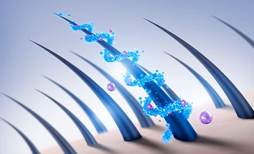 Hair Loss Improvement Image