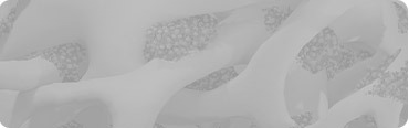 Bone Marrow Stem Cell Image